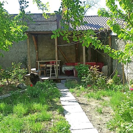 Дом У Моря С Бассейном И Сауной 敖德萨 外观 照片